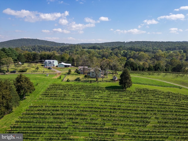 aerial view featuring a mountain view and a rural view