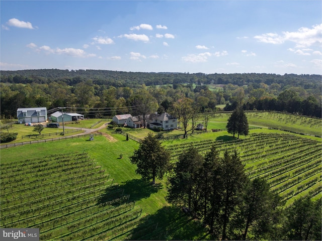 aerial view with a rural view