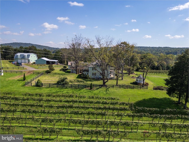 exterior space with a yard and a rural view