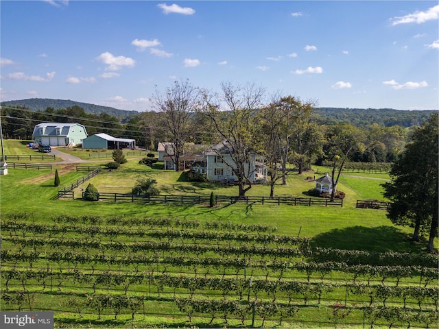 view of home's community with fence, a lawn, and a rural view