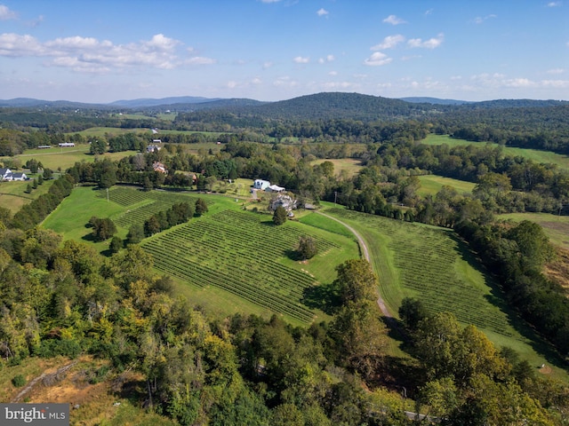 bird's eye view featuring a rural view and a mountain view