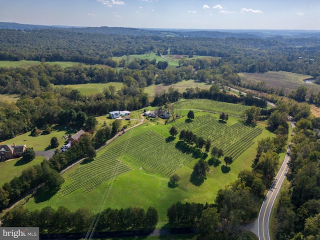 bird's eye view with a rural view