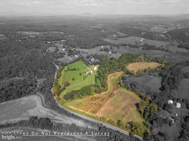 bird's eye view