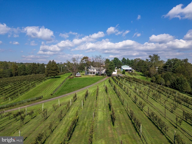 birds eye view of property featuring a rural view