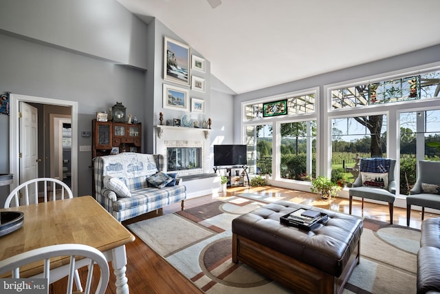 living room with high vaulted ceiling and hardwood / wood-style flooring