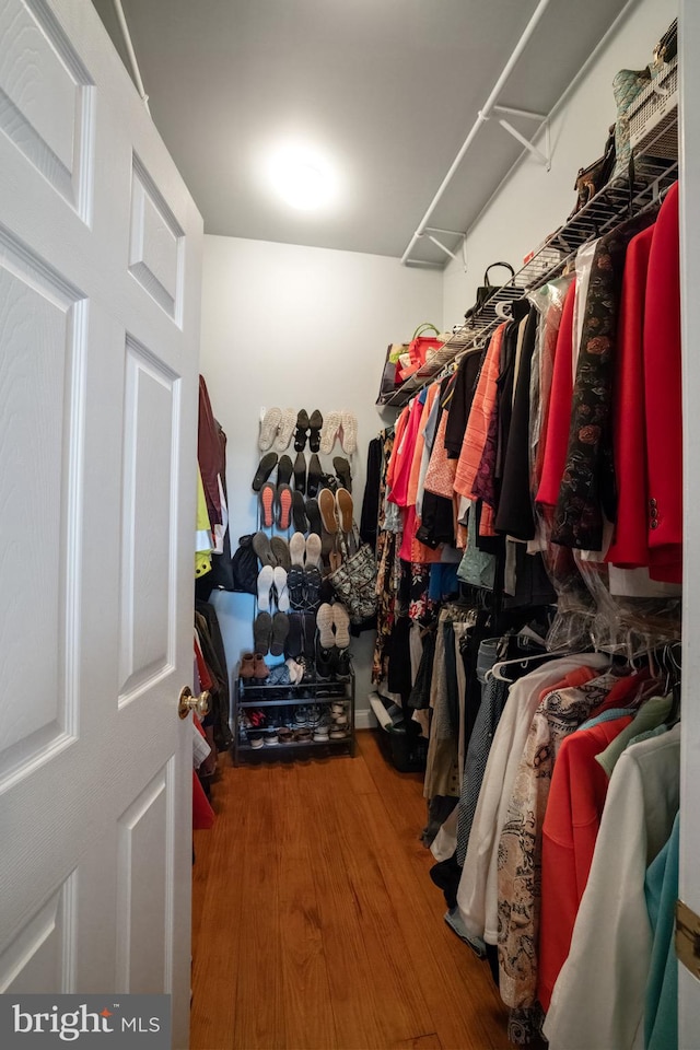 walk in closet with hardwood / wood-style flooring