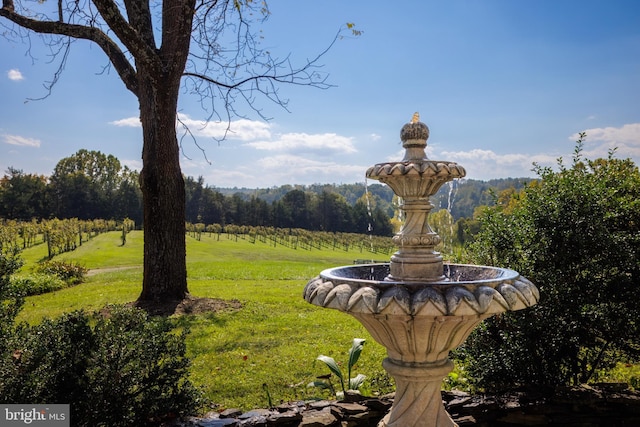 view of community featuring a rural view and a lawn