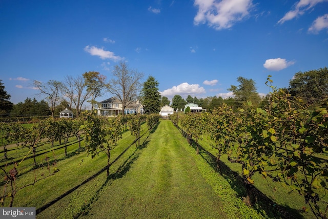 view of yard featuring a rural view and fence