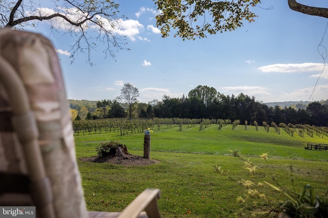 view of yard with a rural view