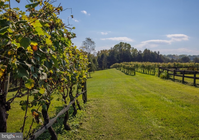 view of yard featuring fence and a rural view