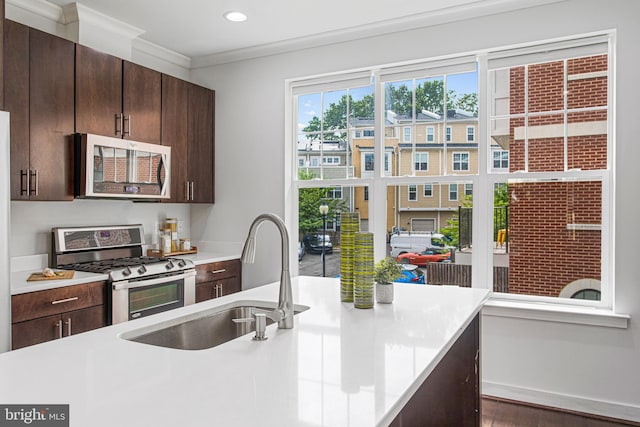 kitchen featuring dark brown cabinetry, dark hardwood / wood-style floors, sink, stainless steel appliances, and ornamental molding