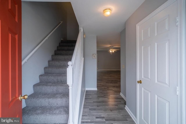 stairs featuring wood-type flooring and ceiling fan