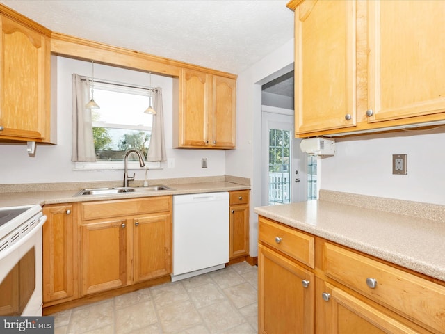 kitchen with plenty of natural light, white appliances, sink, and a textured ceiling