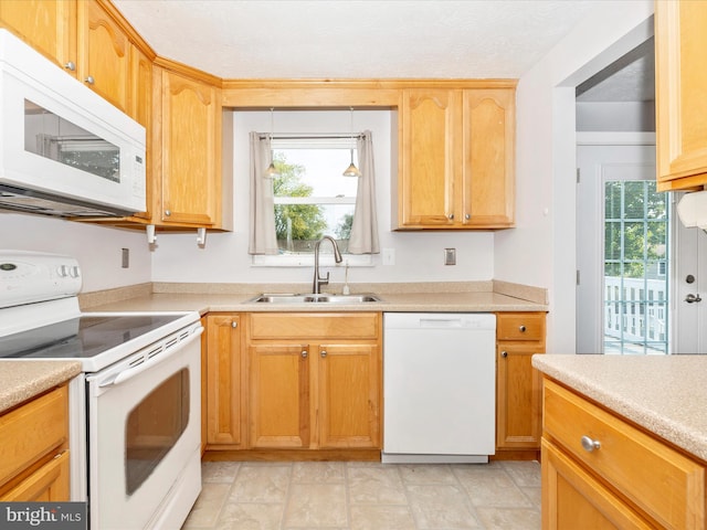 kitchen featuring sink, white appliances, and a healthy amount of sunlight