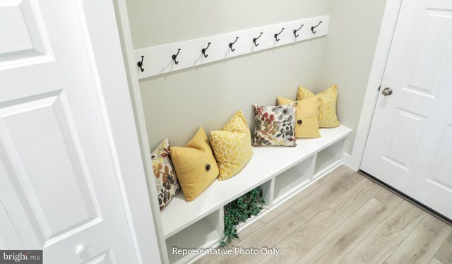 mudroom featuring light wood-type flooring