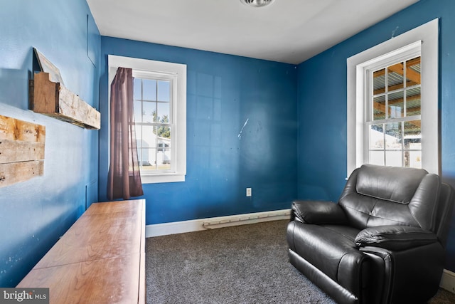 living area with carpet floors and plenty of natural light