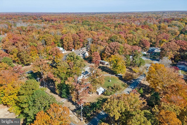 bird's eye view