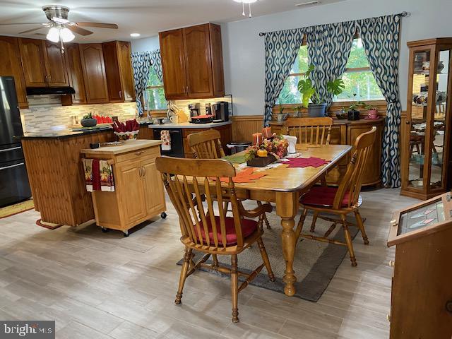 dining area with plenty of natural light and ceiling fan