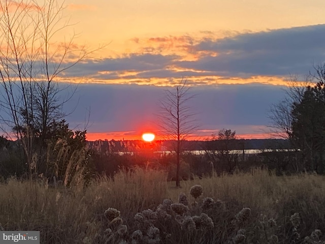 view of nature at dusk