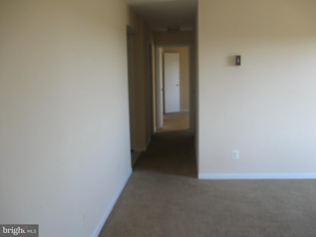 hallway with carpet flooring