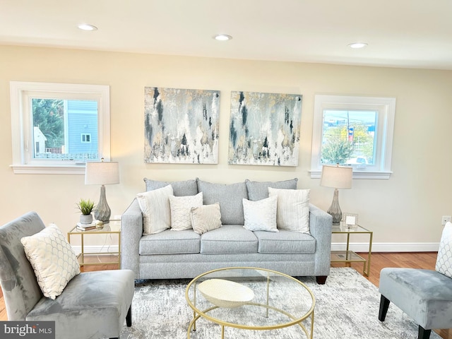 living room with hardwood / wood-style floors and a healthy amount of sunlight