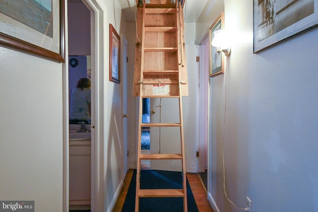 corridor featuring sink and dark wood-type flooring