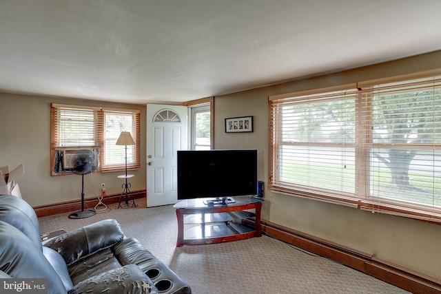 carpeted living room with a wealth of natural light