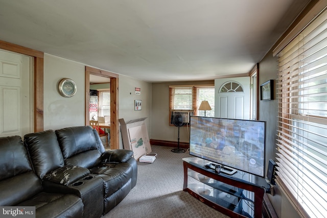 living room featuring carpet floors