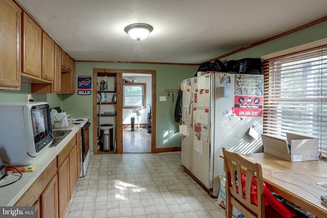 kitchen featuring ornamental molding, plenty of natural light, and white appliances