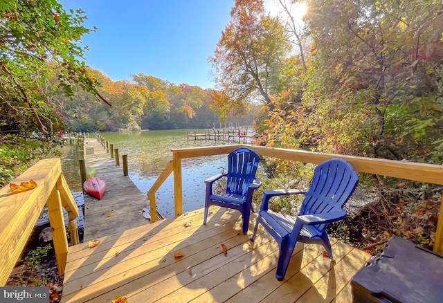 dock area with a water view