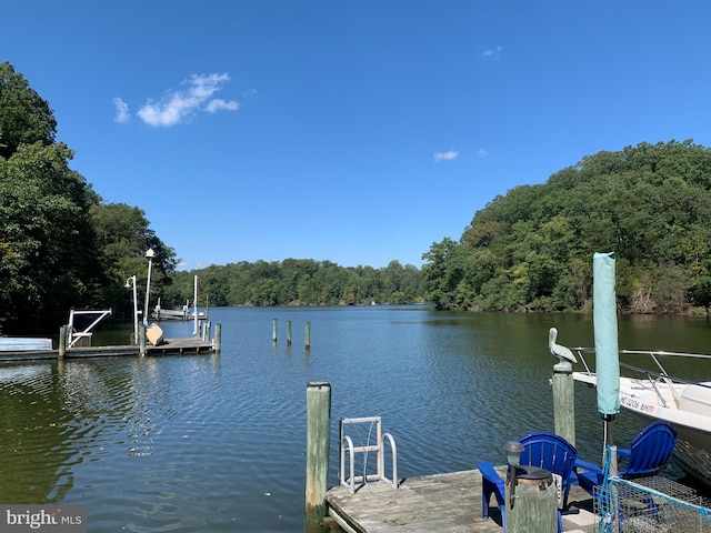 view of dock with a water view