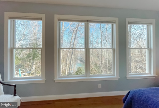 bedroom featuring hardwood / wood-style flooring and multiple windows