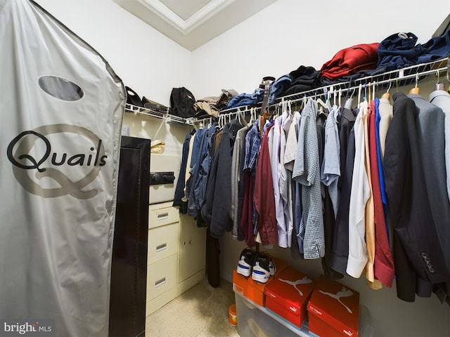 walk in closet with carpet floors