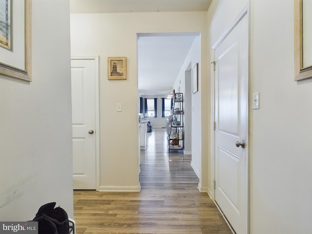 hall with dark hardwood / wood-style flooring