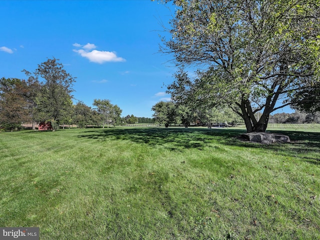 view of yard featuring a rural view