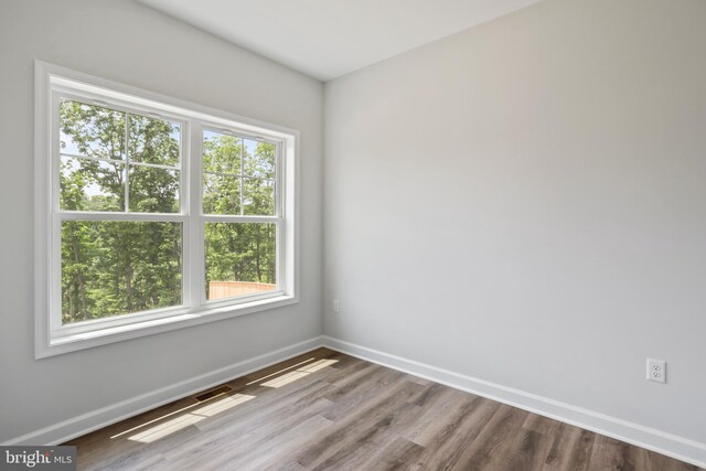 unfurnished room featuring hardwood / wood-style floors and a wealth of natural light