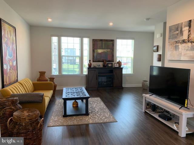 living room featuring plenty of natural light and dark wood-type flooring