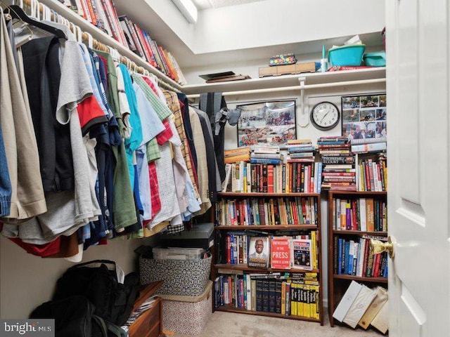 walk in closet featuring carpet flooring