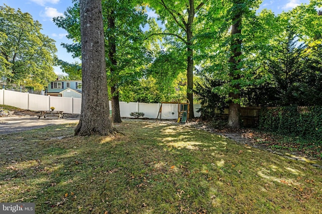 view of yard