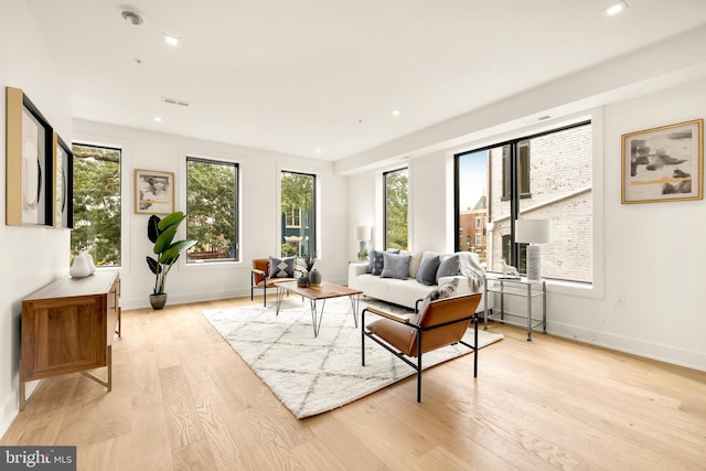 living room featuring light hardwood / wood-style floors and plenty of natural light