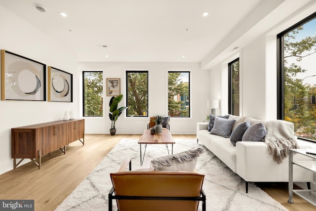 living room featuring light hardwood / wood-style flooring