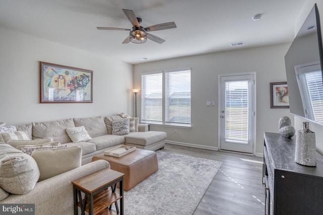 living room with ceiling fan and hardwood / wood-style floors