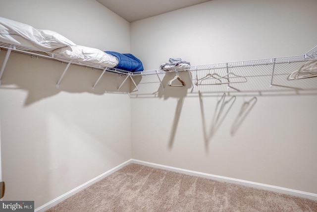 spacious closet with carpet floors