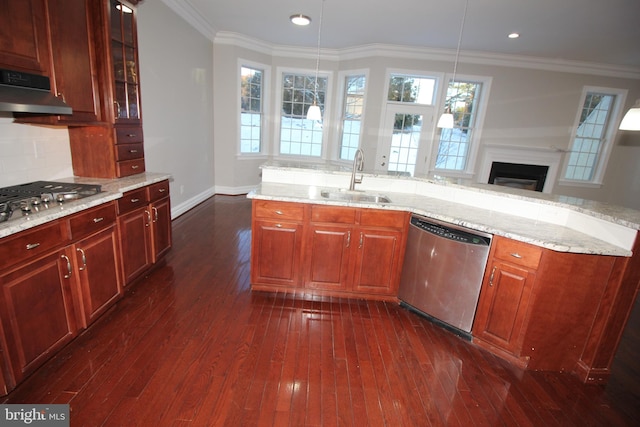 kitchen with dark hardwood / wood-style flooring, plenty of natural light, sink, and appliances with stainless steel finishes