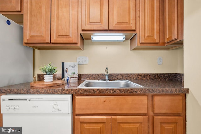 kitchen with sink and dishwasher