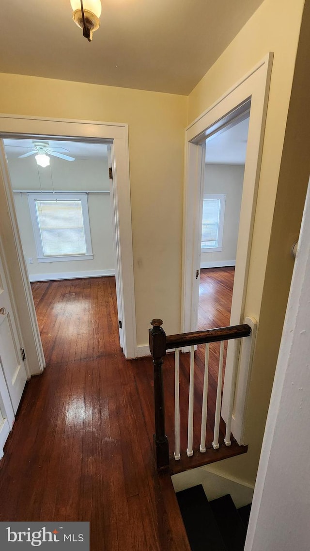 hallway with dark hardwood / wood-style floors