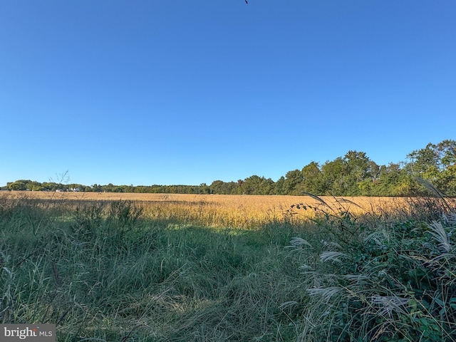 view of local wilderness featuring a rural view