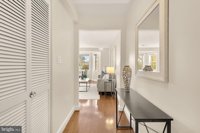 corridor with hardwood / wood-style floors and a wealth of natural light