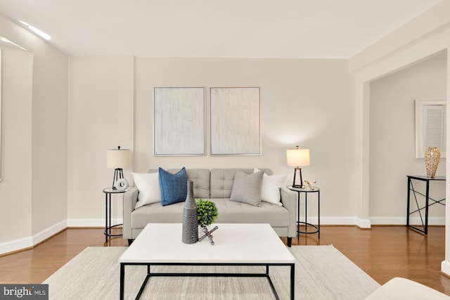 living room with wood-type flooring