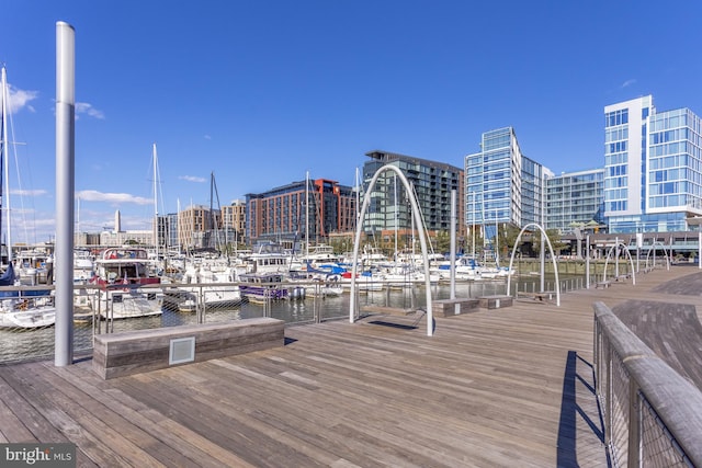 dock area with a water view